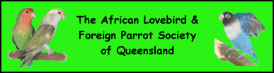 African Lovebird Society