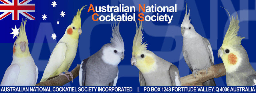 Australian National Cockatiel Society