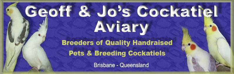 Geoff & Jo's Cockatiel Aviary Brisbane