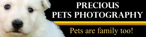 Precious Pets Photography - Pets are family too!